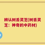 辨认树舌灵芝(树舌灵芝：神奇的中药材)