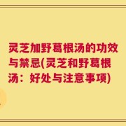 灵芝加野葛根汤的功效与禁忌(灵芝和野葛根汤：好处与注意事项)