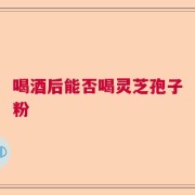 喝酒后能否喝灵芝孢子粉
