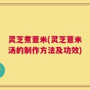 灵芝煮薏米(灵芝薏米汤的制作方法及功效)