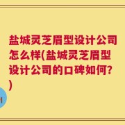 盐城灵芝眉型设计公司怎么样(盐城灵芝眉型设计公司的口碑如何？)