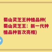 蜀山灵芝王种植品种(蜀山灵芝王：新一代种植品种首次亮相)