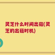 灵芝什么时间出菇(灵芝的出菇时机)