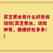 灵芝煮水有什么好处和功效(灵芝煮水，功效神奇，健康好处多多！)