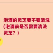 泡酒的灵芝要不要清洗(泡酒前是否需要清洗灵芝？)