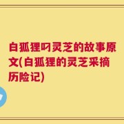 白狐狸叼灵芝的故事原文(白狐狸的灵芝采摘历险记)
