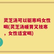 灵芝汤可以驱寒吗女性喝(灵芝汤暖胃又祛寒，女性适宜喝)
