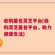 收购菌包灵芝平台(收购灵芝菌包平台，助力健康生活)