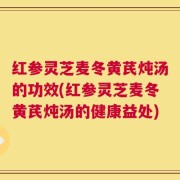 红参灵芝麦冬黄芪炖汤的功效(红参灵芝麦冬黄芪炖汤的健康益处)