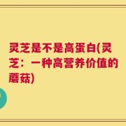 灵芝是不是高蛋白(灵芝：一种高营养价值的蘑菇)