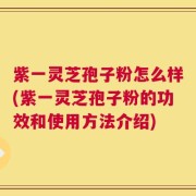 紫一灵芝孢子粉怎么样(紫一灵芝孢子粉的功效和使用方法介绍)