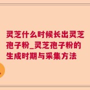 灵芝什么时候长出灵芝孢子粉_灵芝孢子粉的生成时期与采集方法