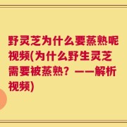 野灵芝为什么要蒸熟呢视频(为什么野生灵芝需要被蒸熟？——解析视频)