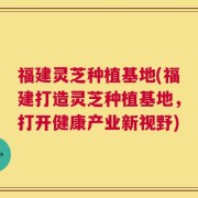 福建灵芝种植基地(福建打造灵芝种植基地，打开健康产业新视野)