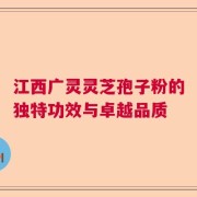 江西广灵灵芝孢子粉的独特功效与卓越品质
