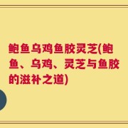 鲍鱼乌鸡鱼胶灵芝(鲍鱼、乌鸡、灵芝与鱼胶的滋补之道)