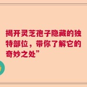 揭开灵芝孢子隐藏的独特部位，带你了解它的奇妙之处”