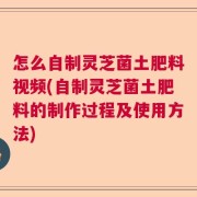 怎么自制灵芝菌土肥料视频(自制灵芝菌土肥料的制作过程及使用方法)
