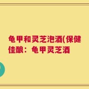 龟甲和灵芝泡酒(保健佳酿：龟甲灵芝酒
