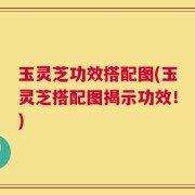 玉灵芝功效搭配图(玉灵芝搭配图揭示功效！)