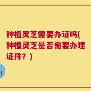 种植灵芝需要办证吗(种植灵芝是否需要办理证件？)