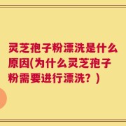 灵芝孢子粉漂洗是什么原因(为什么灵芝孢子粉需要进行漂洗？)
