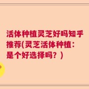 活体种植灵芝好吗知乎推荐(灵芝活体种植：是个好选择吗？)