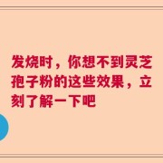 发烧时，你想不到灵芝孢子粉的这些效果，立刻了解一下吧