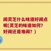 闻灵芝什么味道好闻点呢(灵芝的味道如何？好闻还是难闻？)