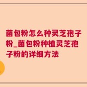 菌包粉怎么种灵芝孢子粉_菌包粉种植灵芝孢子粉的详细方法