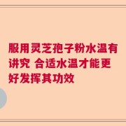 服用灵芝孢子粉水温有讲究 合适水温才能更好发挥其功效