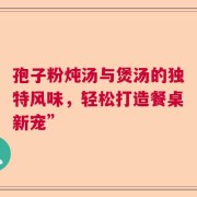孢子粉炖汤与煲汤的独特风味，轻松打造餐桌新宠”