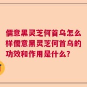 儒意黑灵芝何首乌怎么样儒意黑灵芝何首乌的功效和作用是什么？