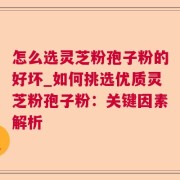 怎么选灵芝粉孢子粉的好坏_如何挑选优质灵芝粉孢子粉：关键因素解析