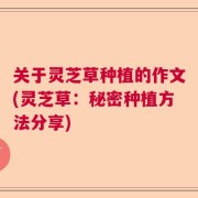 关于灵芝草种植的作文(灵芝草：秘密种植方法分享)