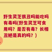 野生灵芝很丑吗能吃吗有毒吗(野生灵芝可食用吗？是否有毒？长相丑陋是真的吗？)