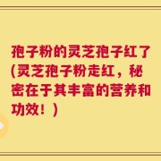 孢子粉的灵芝孢子红了(灵芝孢子粉走红，秘密在于其丰富的营养和功效！)
