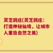 灵芝鸽庄(灵芝鸽庄：打造神秘仙境，让城市人重拾自然之美)
