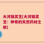 大河镇灵芝(大河镇灵芝：神奇的天然药材之旅)