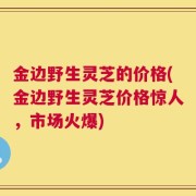 金边野生灵芝的价格(金边野生灵芝价格惊人，市场火爆)