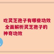 吃灵芝孢子有哪些功效 全面解析灵芝孢子的神奇功效