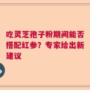 吃灵芝孢子粉期间能否搭配红参？专家给出新建议