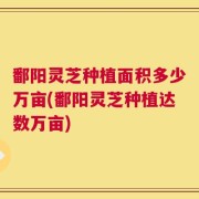 鄱阳灵芝种植面积多少万亩(鄱阳灵芝种植达数万亩)