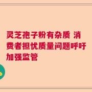 灵芝孢子粉有杂质 消费者担忧质量问题呼吁加强监管