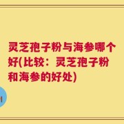 灵芝孢子粉与海参哪个好(比较：灵芝孢子粉和海参的好处)