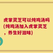 虎掌灵芝可以炖鸡汤吗(炖鸡汤加入虎掌灵芝，养生好滋味)