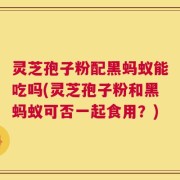 灵芝孢子粉配黑蚂蚁能吃吗(灵芝孢子粉和黑蚂蚁可否一起食用？)