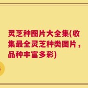 灵芝种图片大全集(收集最全灵芝种类图片，品种丰富多彩)