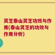 灵芝泰山灵芝功效与作用(泰山灵芝的功效与作用分析)