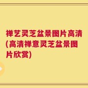 禅艺灵芝盆景图片高清(高清禅意灵芝盆景图片欣赏)